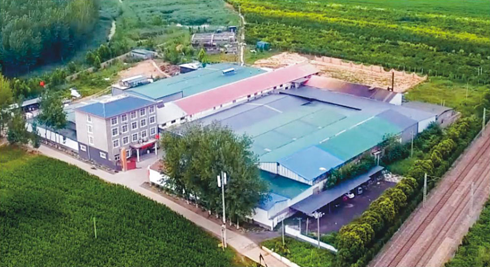 成長(zhǎng)歷程